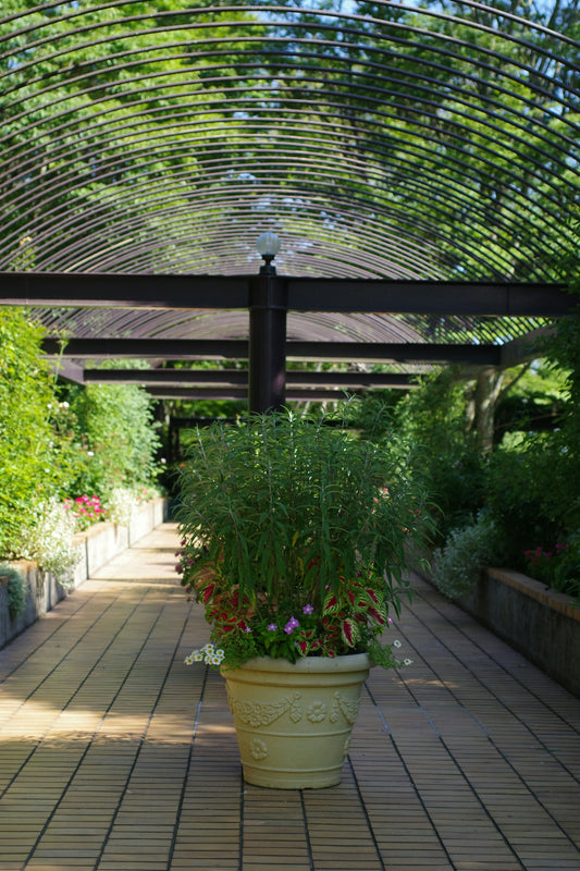 A walkway lined with potted plants under a pergolated roof