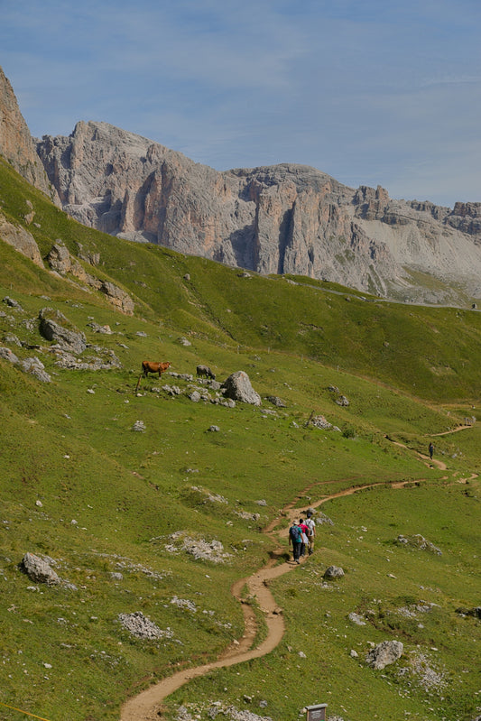 Hikers on a trail in the italian alps with mountains.