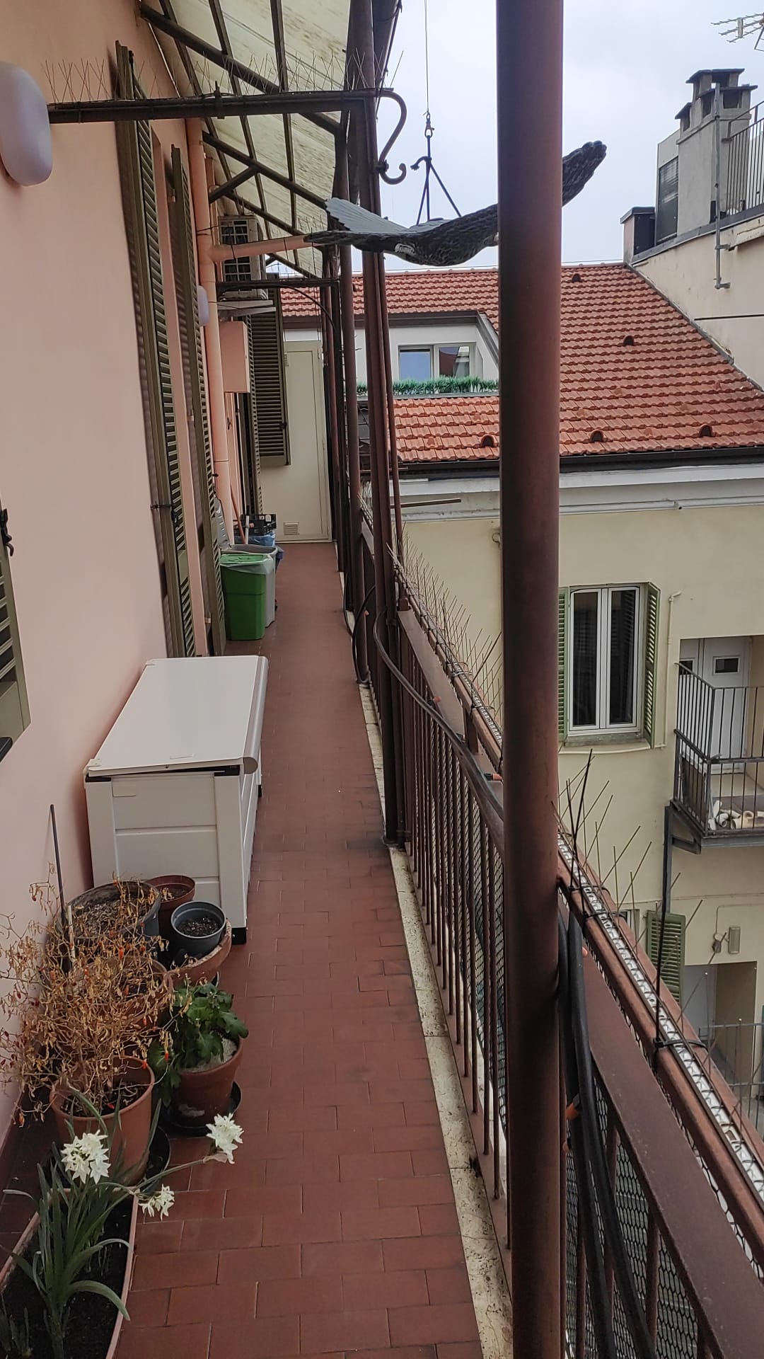 Sostituzione Lastre per Tettoie Danneggiate – Policarbonato, Plexiglass, Lamiere